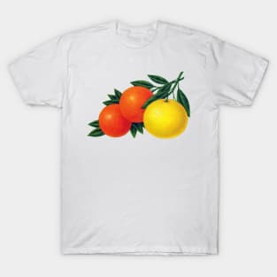 1950s Citrus T-Shirt